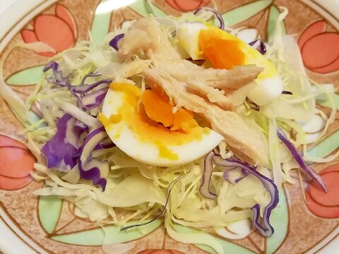 キャベツと紫キャベツとゆで卵と鶏ハムのサラダ